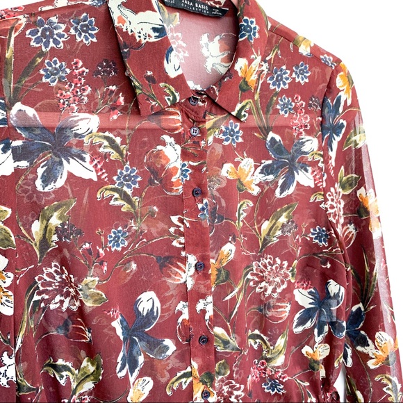 Fall Colored Sheer Zara Dress - Picture 4 of 12